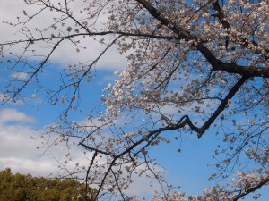 日比谷公園その１