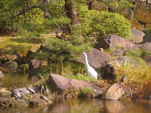 日比谷公園その３
