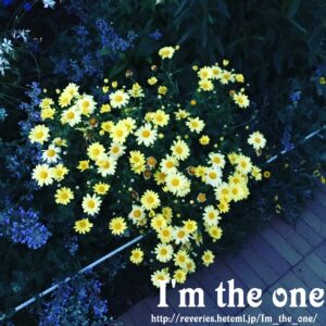 IMG_0090_med_watermerk